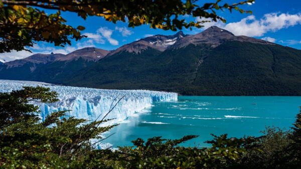 Perito Moreno Glacier - CALAFATE (Footbridges and Navigation) "8 hours" ( Shared tour ) - Image 7