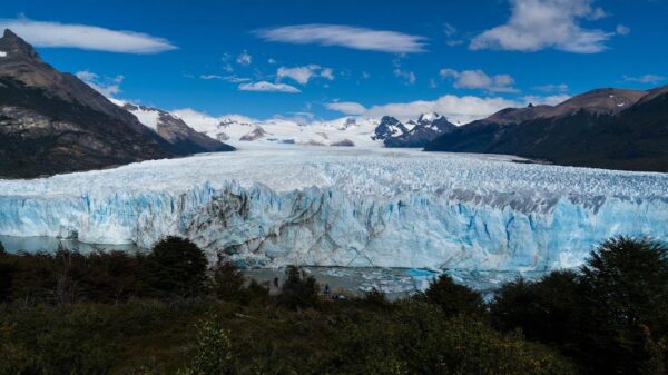 Perito Moreno Glacier - CALAFATE (Footbridges and Navigation) "8 hours" ( Shared tour ) - Image 9