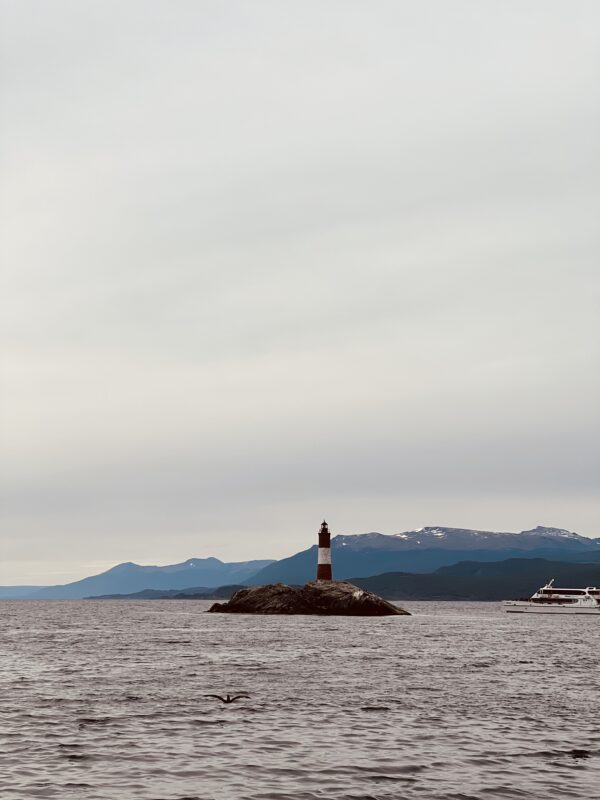 Navigation to the Penguins island "Beagle Channel" - Image 18