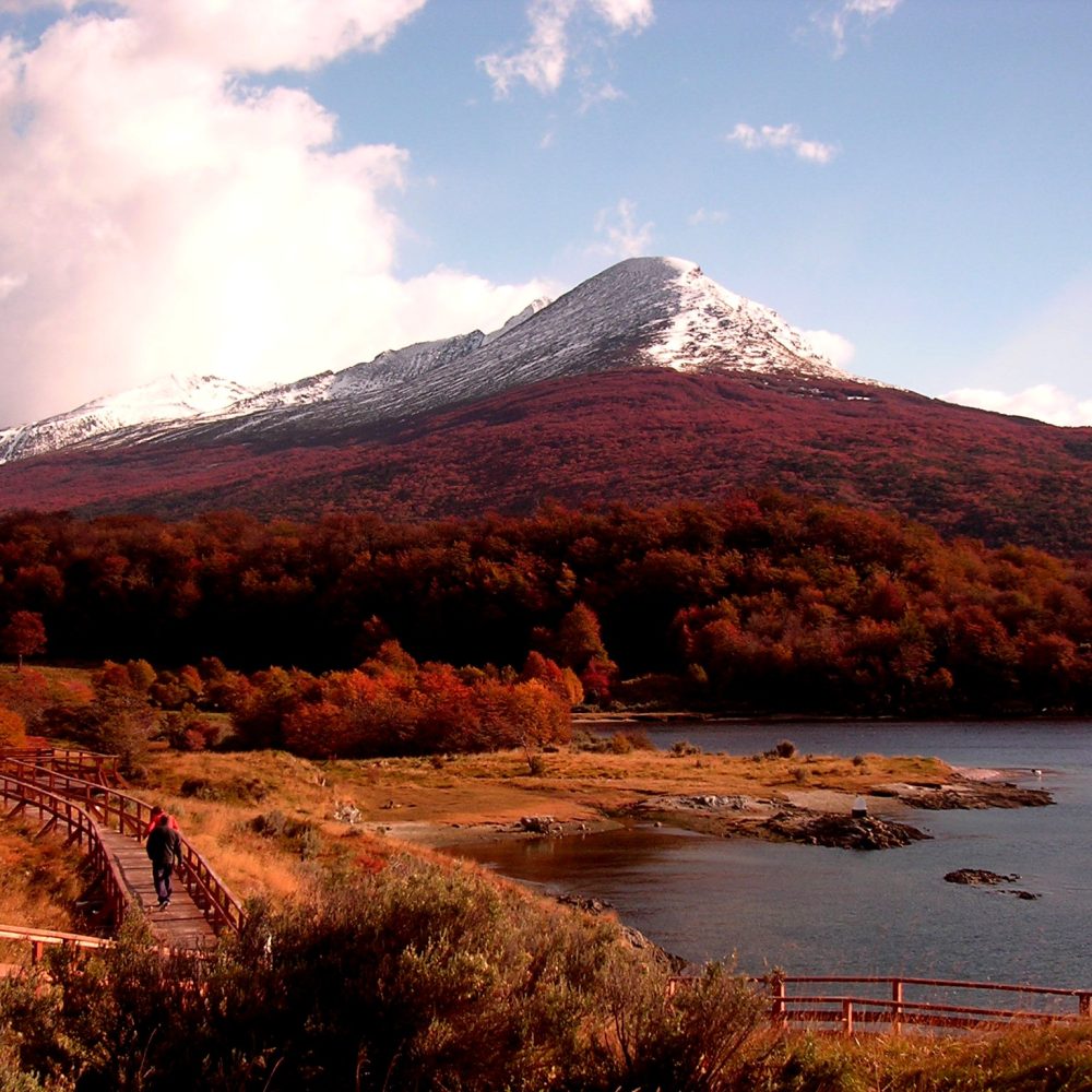 Cerro Condor en otoño-Condor mount in fall season
